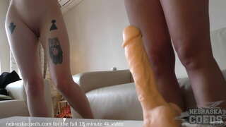 Trote filhotes de tentar diferentes dildos para ver o quão grande é muito grande Trote filhotes de tentar diferentes dildos para ver o quão grande é muito grande