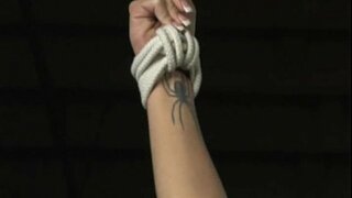 Harmoni - Butain Hyfforddiant - movie Llawn Harmoni - Butain Hyfforddiant - movie Llawn